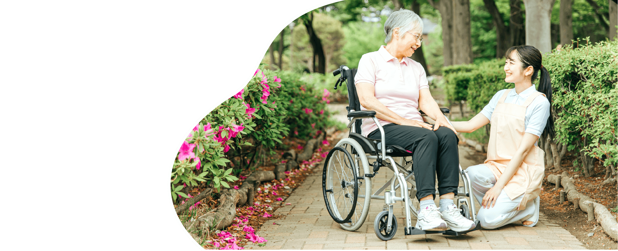 提供サービスのイメージ